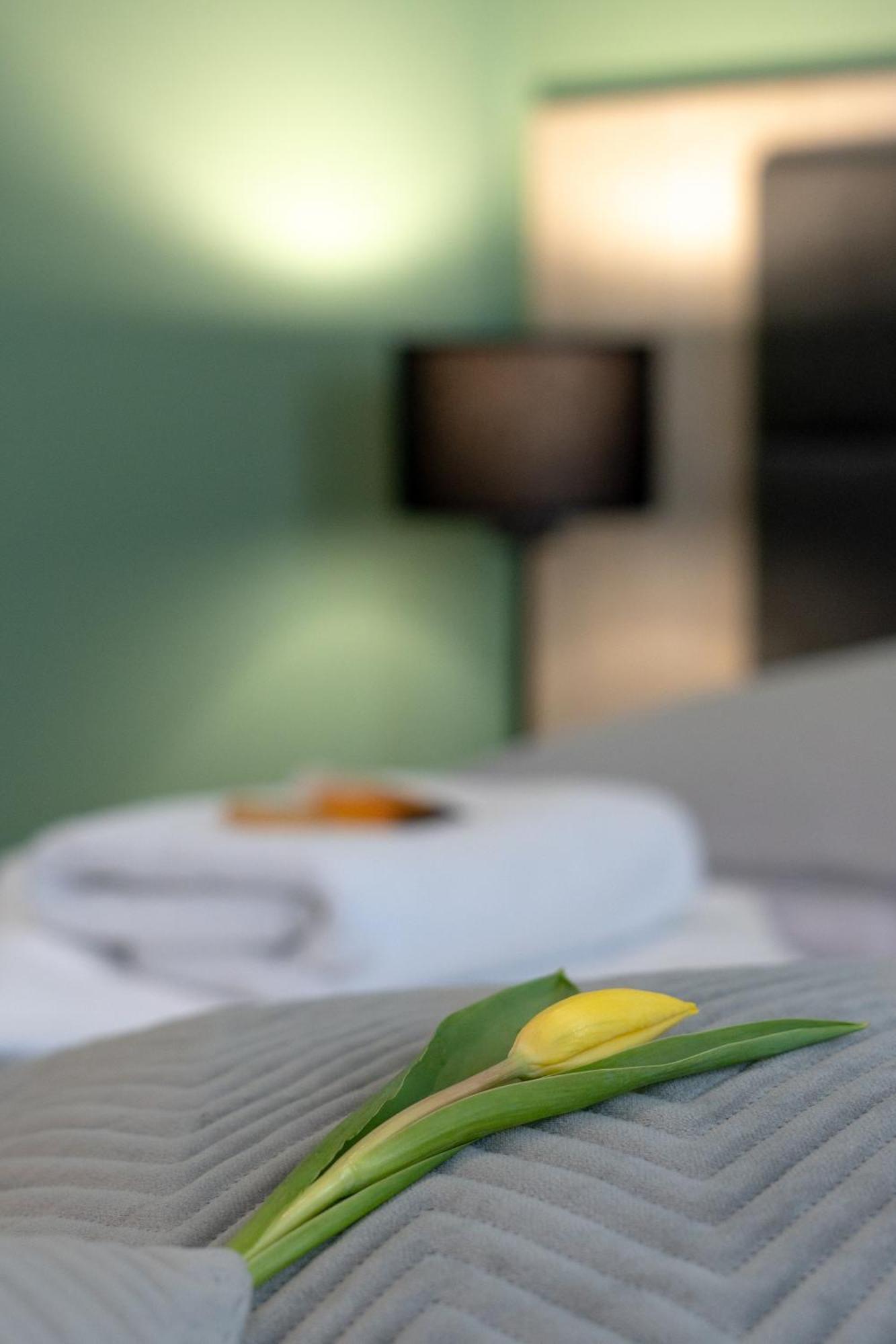 Hotel W Dobieszkowie ストリクフ エクステリア 写真
